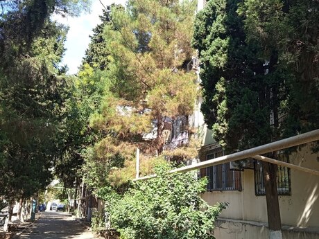 2-room apartment, 48 m², Neftçilər: 170 000 ₼ 2