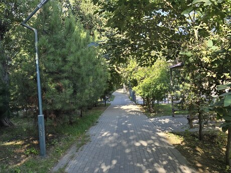 2 otaqlı mənzil, 40 m², Köhnə Günəşli: 115 000 ₼ 3