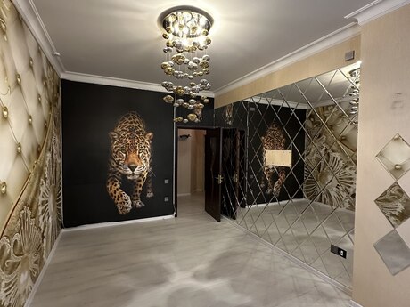 2 rooms · 43 m² · floor 11/18, Memar Əcəmi