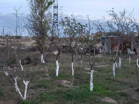 1 otaqlı həyət evi, 40 m², Bülbülə: 48 000 ₼ 3