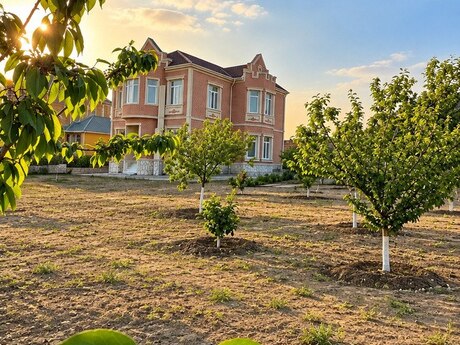 7 rooms · 246 m², Saray