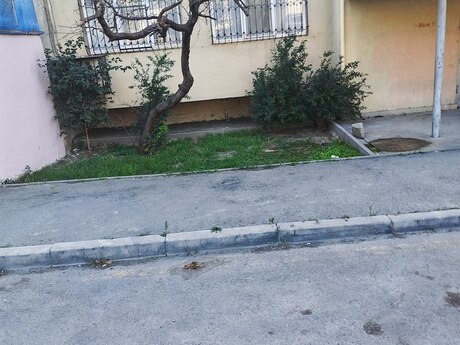 3 Qara Qarayev