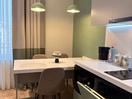 1-room apartment for rent, 47 m², Ancora Residence: 130 ₼/mo 5