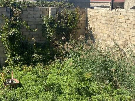 5-room house, 300 m², Ramana: 105 000 ₼ 3