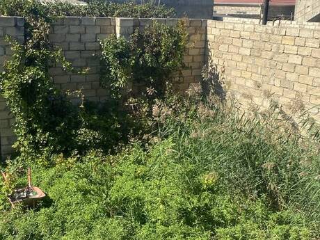 5-room house, 300 m², Ramana: 105 000 ₼ 5