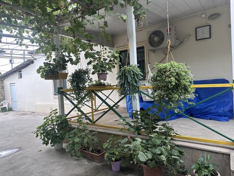 4-room house, 110 m², Şüvəlan: 158 000 ₼ 4