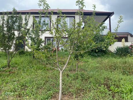 Elan №6496485 - Şamaxı, Şamaxı, 4 otaqlı, 140 m²