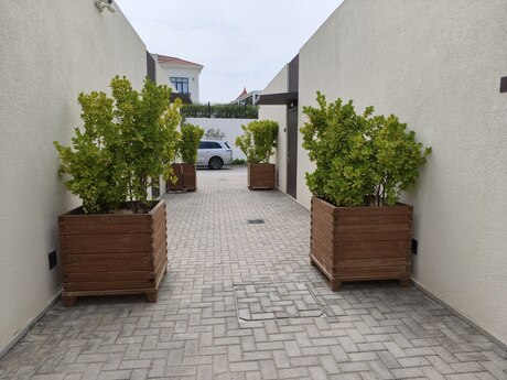 2 otaq · 65 m²