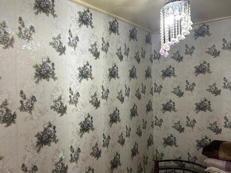 3-комнатный дом, 50 м², Nizami: 150 000 ₼ 4
