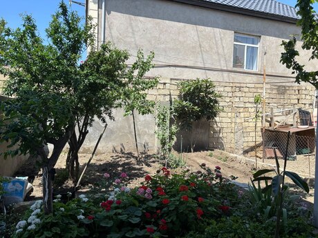 5-room house, 90 m², Biləcəri: 260 000 ₼ 5