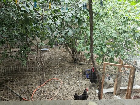 7 otaqlı həyət evi, 204 m², Mehdiabad: 220 000 ₼ 4