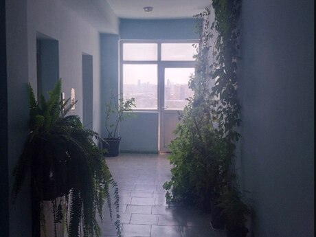4-комнатная квартира, 160 м², Azadlıq Prospekti: 380 000 ₼ 3