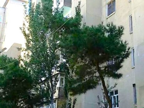 3 Həzi Aslanov