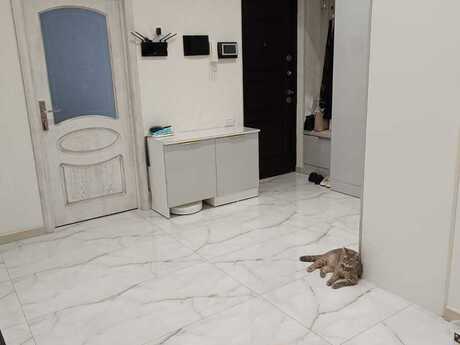2 otaq · 95 m² · 18/18 mərtəbə, Nəsimi