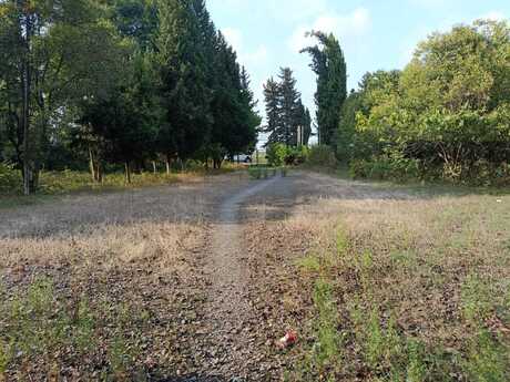 Elan №6499070 - Şamaxı, Şamaxı, 15 sot