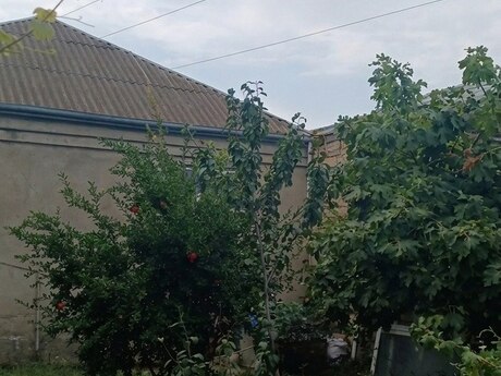 3-комнатный дом, 113 м², Atyalı: 59 000 ₼ 5