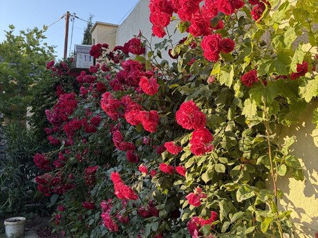 5-room house, 180 m², Buzovna: 350 000 ₼ 5