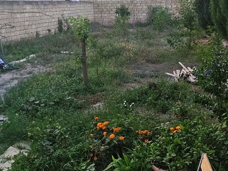 3-room house, 70 m², Masazır: 155 000 ₼ 3