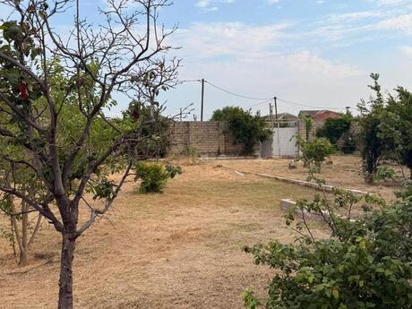 4 otaqlı həyət evi, 200 m², Pirşağı: 250 000 ₼ 2