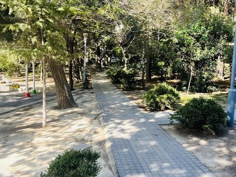5 otaqlı mənzil, 120 m², Azadlıq Prospekti: 345 000 ₼ 2