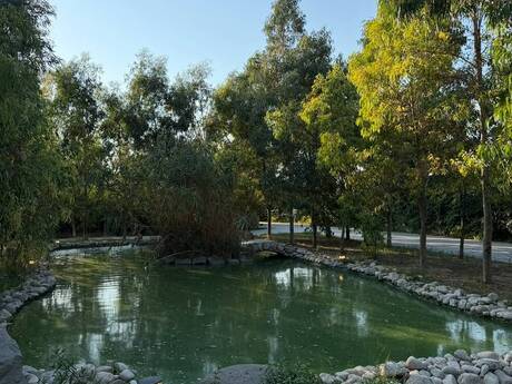 10 otaqlı həyət evi, 801 m², Bilgəh: 3 400 000 ₼ 4
