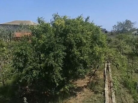 6-room house, 612 m², Pirşağı: 250 000 ₼ 3