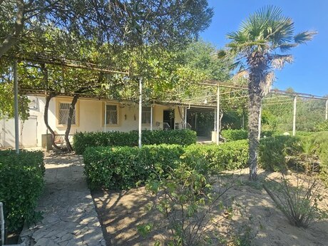 3-room house, 12 m², Albalılıq: 216 000 ₼ 5