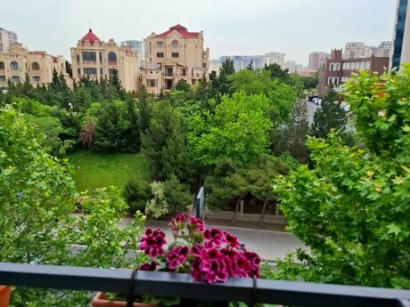 Elan №6501341 - Bakı, 8 Noyabr m., 2 otaqlı, 43 m², 5/5 mərtəbə