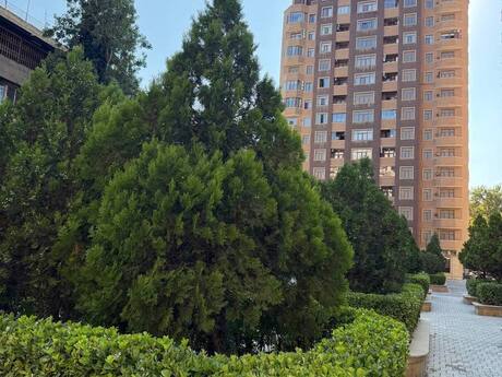 4 otaqlı mənzil, 185 m², Baku Galaxy Park: 555 000 ₼ 5