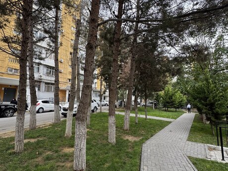 2-room apartment, 65 m², İnşaatçılar: 180 000 ₼ 3
