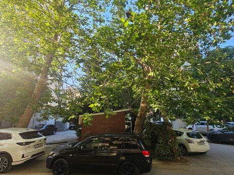 3-комнатная квартира, 90 м², Azadlıq Prospekti: 225 000 ₼ 2