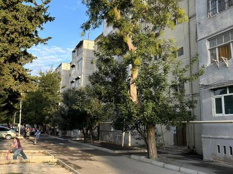 1-комнатная квартира, 45 м², Binə: 66 000 ₼ 3