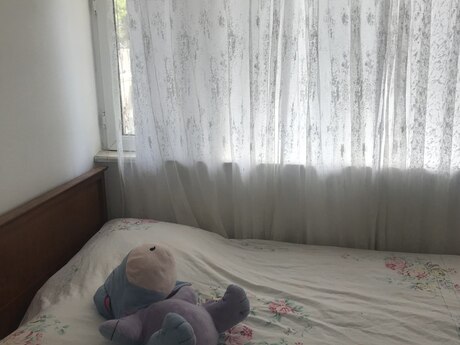 Kirayə 1 otaqlı mənzil, 45 m², 28 May: 600 ₼/ay 4