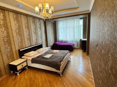 Kirayə 2 otaqlı mənzil, 93 m², Nəriman Nərimanov: 70 ₼/ay 4