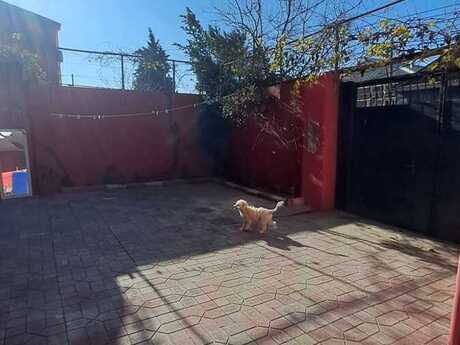 4-room house, 130 m², Biləcəri: 220 000 ₼ 4