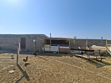3-комнатный дом, 100 м², Zirə: 52 000 ₼ 2