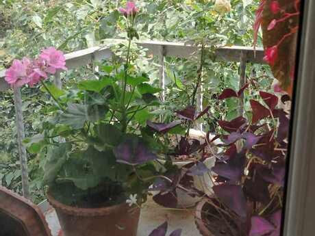 2-room apartment, 55 m², 20 Yanvar: 165 000 ₼ 2