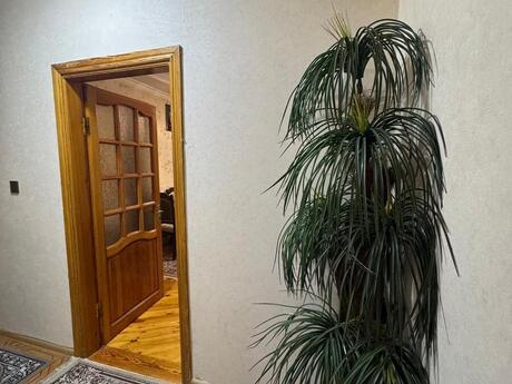 2 otaqlı mənzil, 45 m², İnşaatçılar: 125 000 ₼ 3