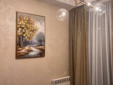 Kirayə 2 otaqlı mənzil, 75 m², 28 May: 70 ₼/ay 5