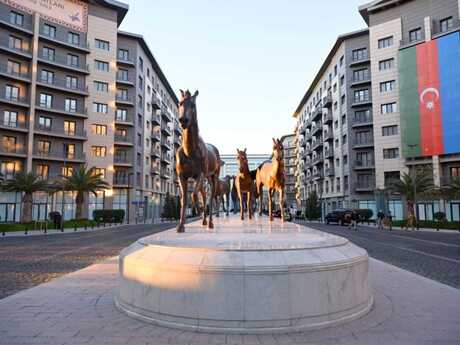 Elan №6505776 - Bakı, Ağ şəhər q., 4 otaqlı, 150 m², 2/8 mərtəbə