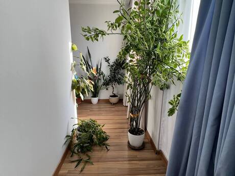 3 otaqlı mənzil, 114 m², 20 Yanvar: 285 000 ₼ 5