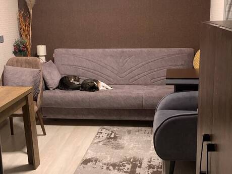 Elan №6505959 - Bakı, Qara Qarayev m., 2 otaqlı, 37 m², 4/5 mərtəbə