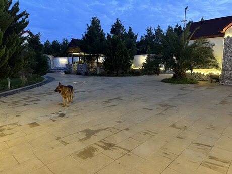7-комн. · 606 m², Mərdəkan