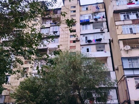 2 Suraxanı