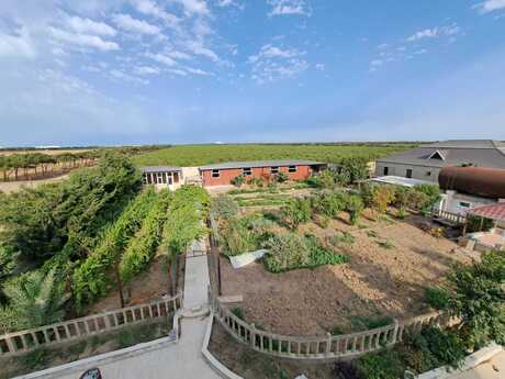 8-room house for rent in Bilgəh, 500 m², 2 200 AZN/mo, photo 4 / 12