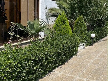 Mərdəkanda 4 otaqlı həyət evi kirayə verilir, 180 m², 1 100 AZN/ay, şəkil 2 / 12