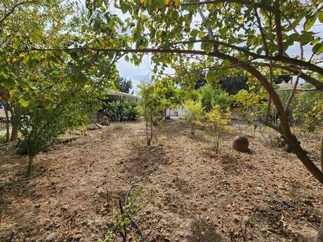 3 otaqlı həyət evi, 90 m², Qobustan: 128 000 ₼ 4
