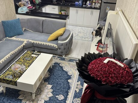 3-комнатная квартира, 70 м², 20 Yanvar: 248 000 ₼ 5