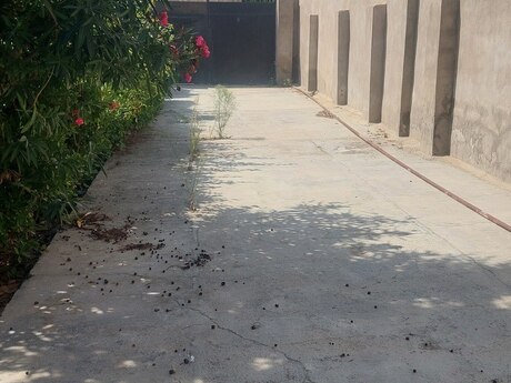 7-room house, 257 m², Şağan: 165 000 ₼ 3