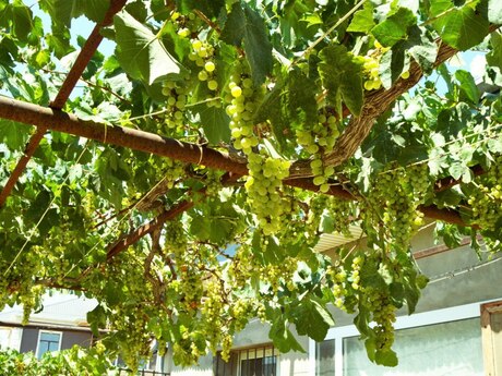 6-room house, 150 m², Xəzər: 150 000 ₼ 5
